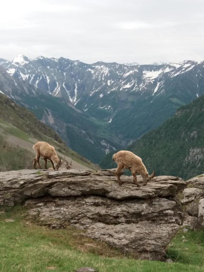 Vacances A La Montagne Saint-Julien-en-Champsaur ภายนอก รูปภาพ